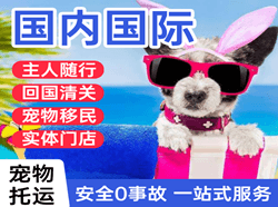 咸阳机场托运国际宠物托运 【国